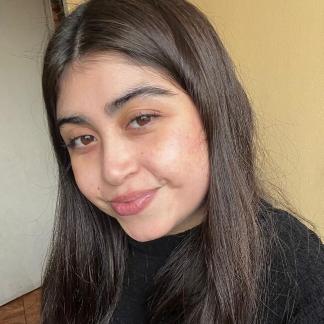 Babysitter in San Bernardo: Fernanda