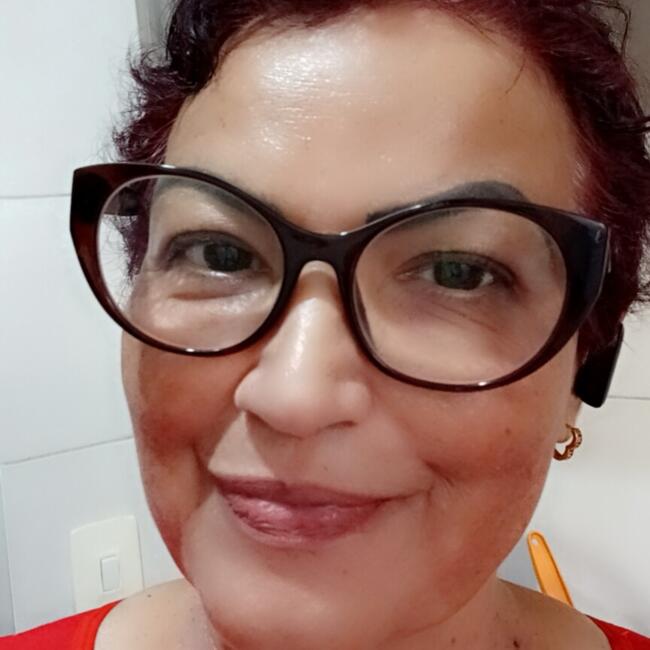 Babysitter in Cambé: Lilian Silvia