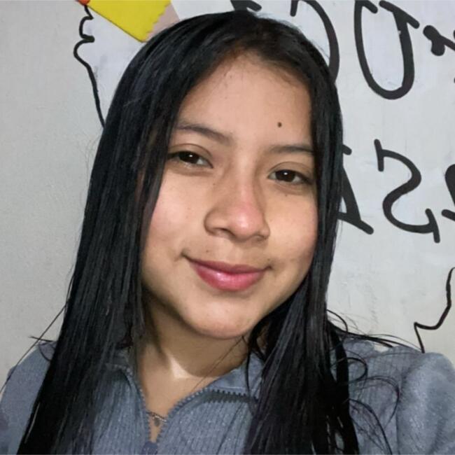 Niñera en Puebla de Zaragoza: Julissa Cristel