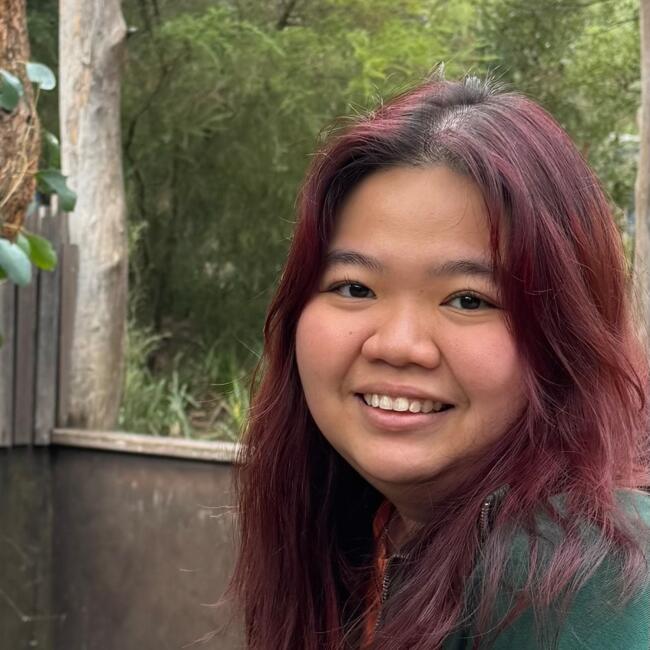 Babysitter in Brisbane: Chres