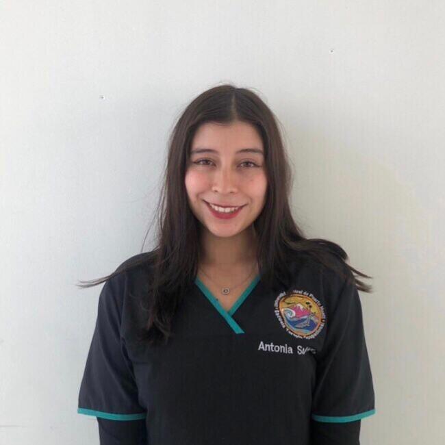 Babysitter in Port Montt: Antonia