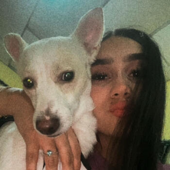 Niñera en Palmira: Laura Sofia