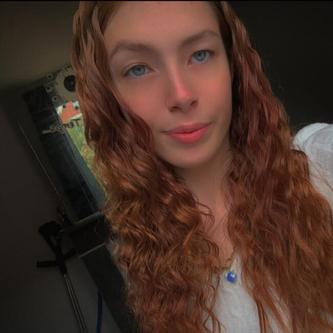 Babysitter in Charleroi: Lisa