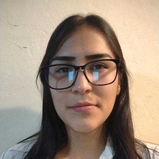 Babysitter in Querétaro City: Karla Daniela