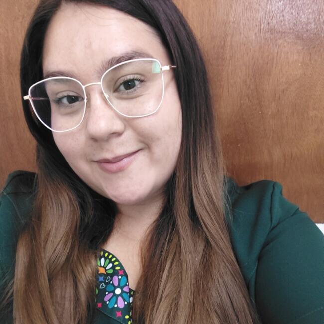 Babysitter in Curicó: Michelle