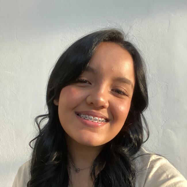 Babysitter in Dourados: Julia