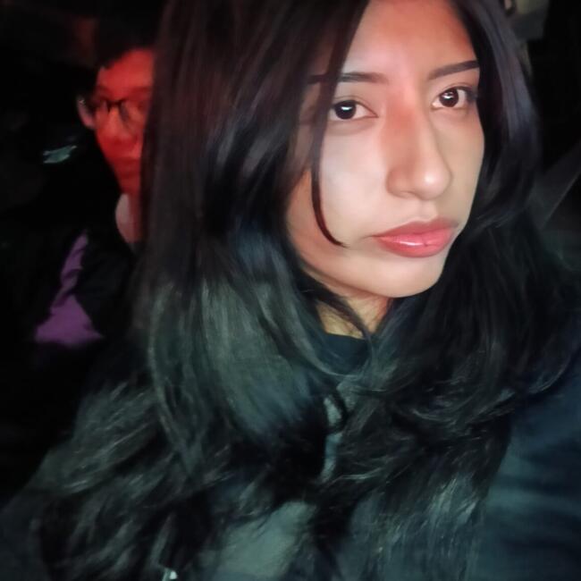 Babysitter in Texcoco: Diana Karen