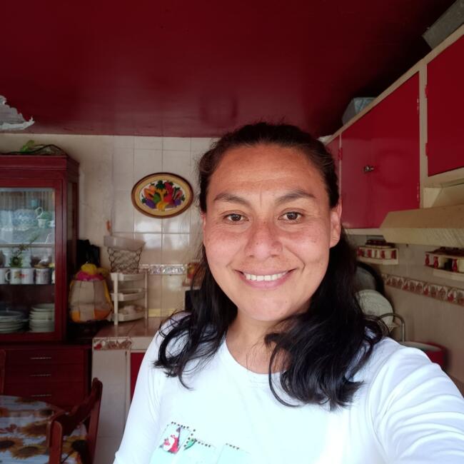 Niñera en Ciudad de México: Maricela Barbosa
