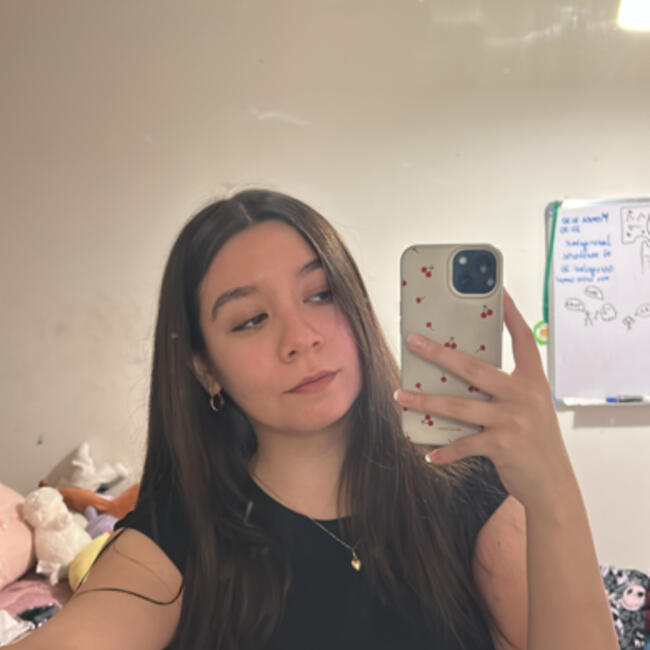 Babysitter in Santiago: Sugey