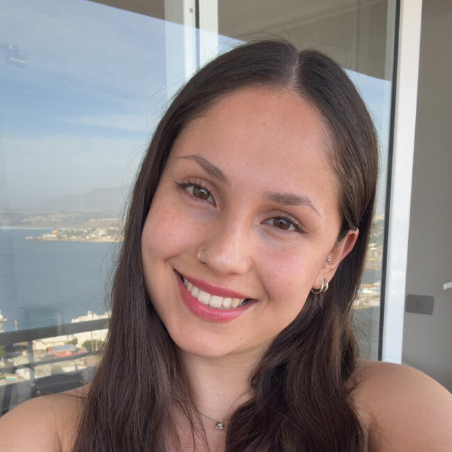 Babysitter in La Florida: Constansa Gomez