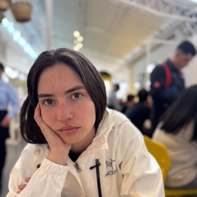 Babysitting job in Lo Barnechea: Gonzalo