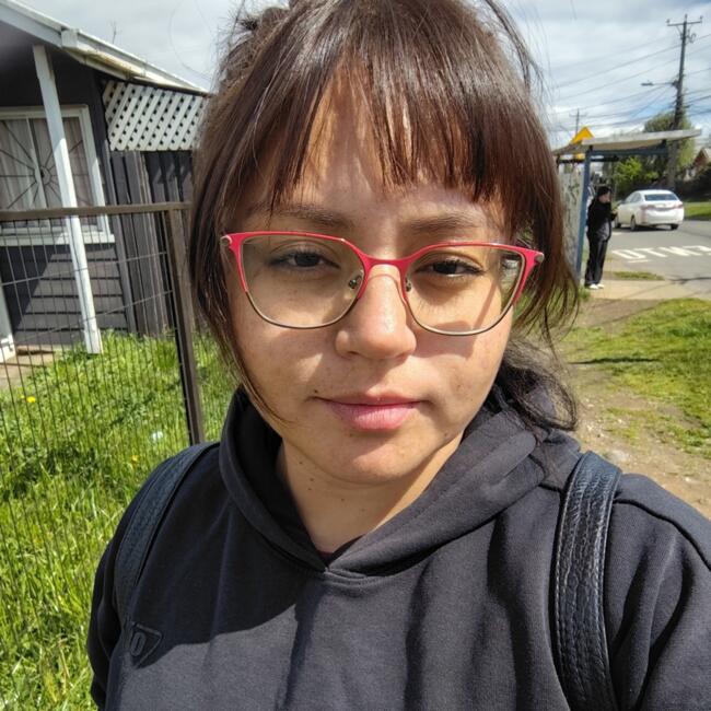Babysitter in Osorno: Javiera