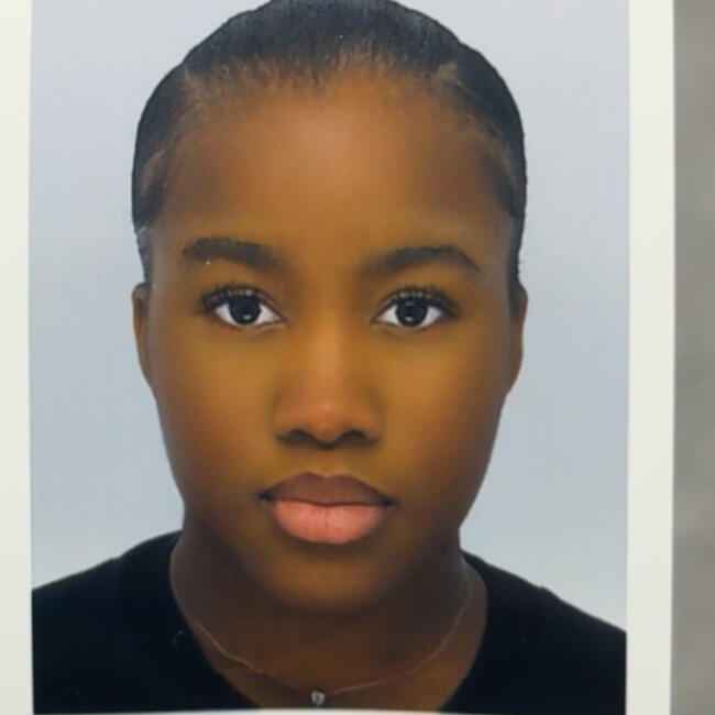 Babysitter in Villecresnes: Sita-Founé