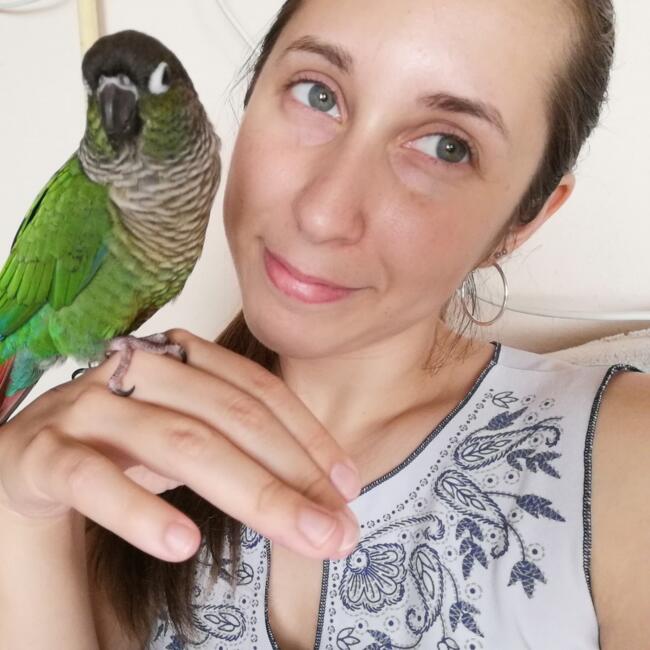 Bébiszitter: Budapest: Bettina