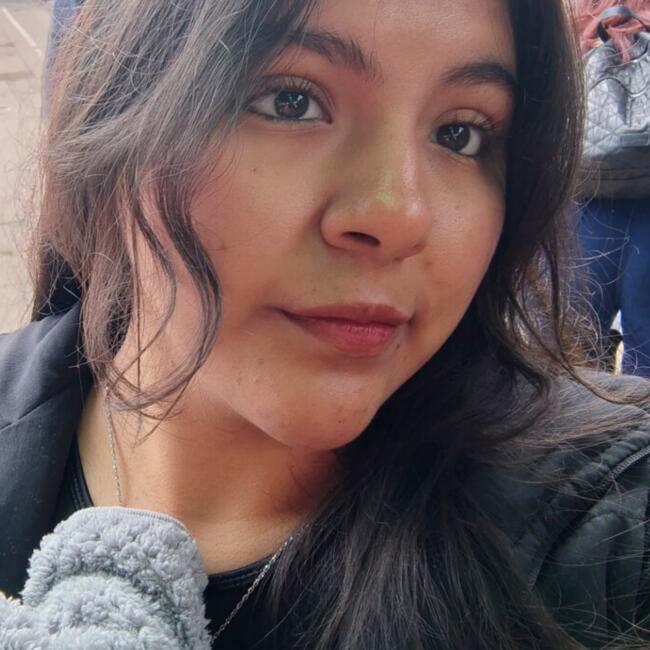 Babysitter in Yerba Buena: Samira