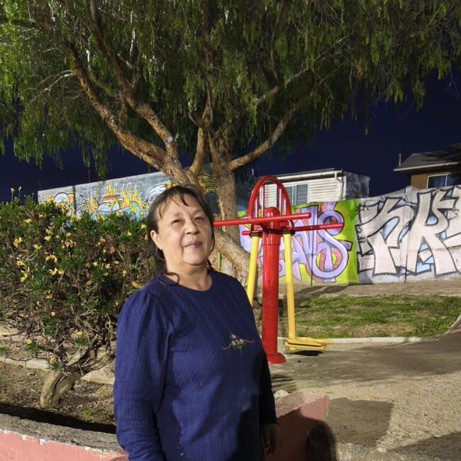 Trabajo para niñera en Rancagua: Victoria
