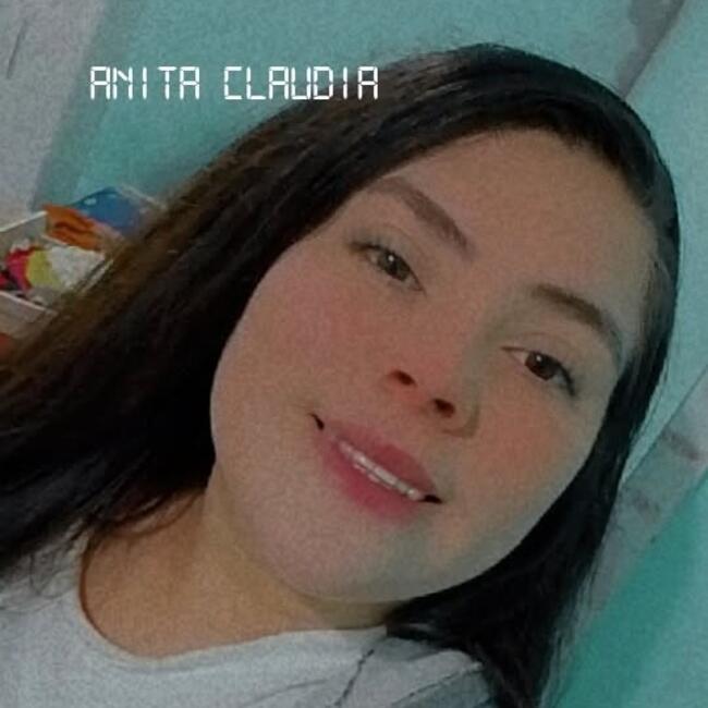 Babá em Rio dos Cedros: Anita claudia