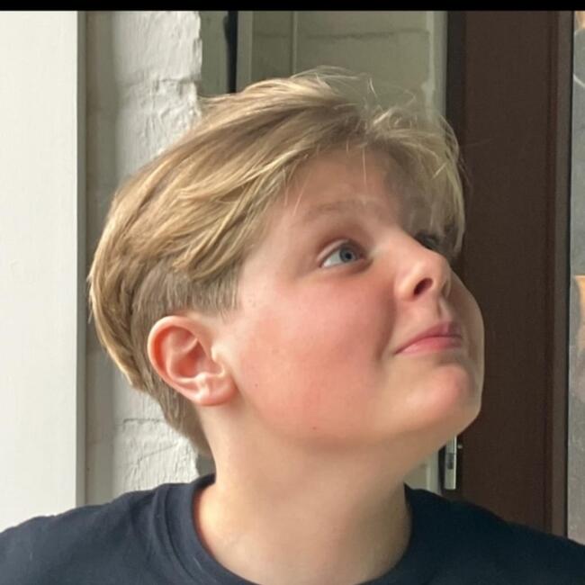 Babysitter in Mechelen: Roy