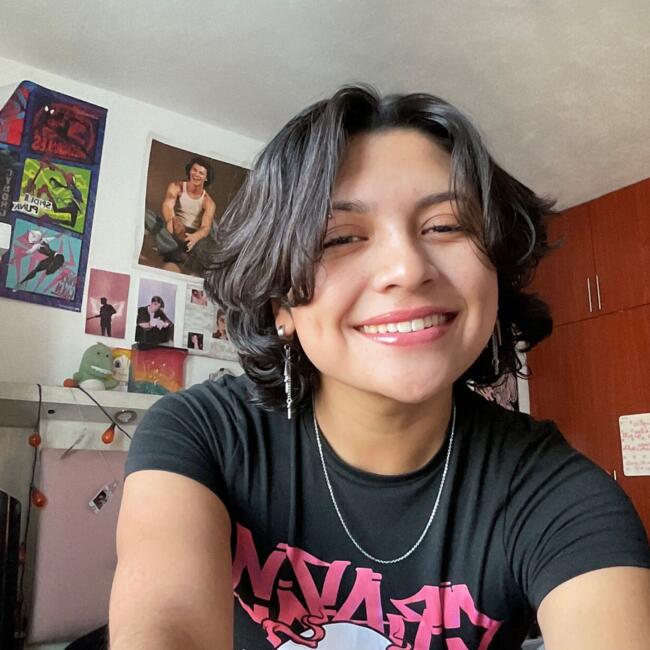 Babysitter in Querétaro City: Ale Alvarez