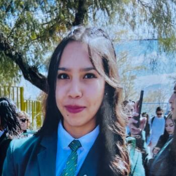 Babysitter in Calama: Francisca