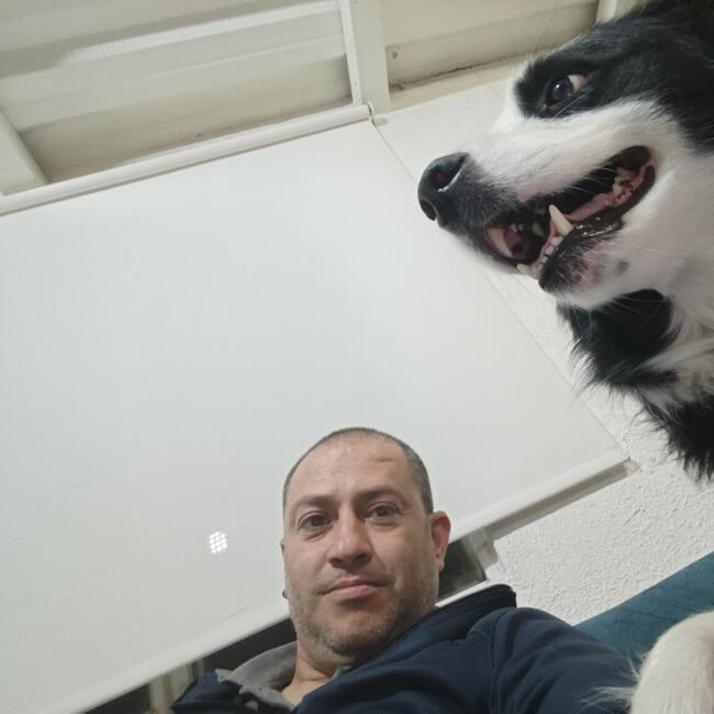 Babysitting job in Bogotá: PABLO