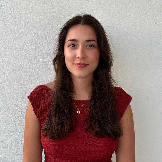 Babysitter in Matosinhos Municipality: Raquel