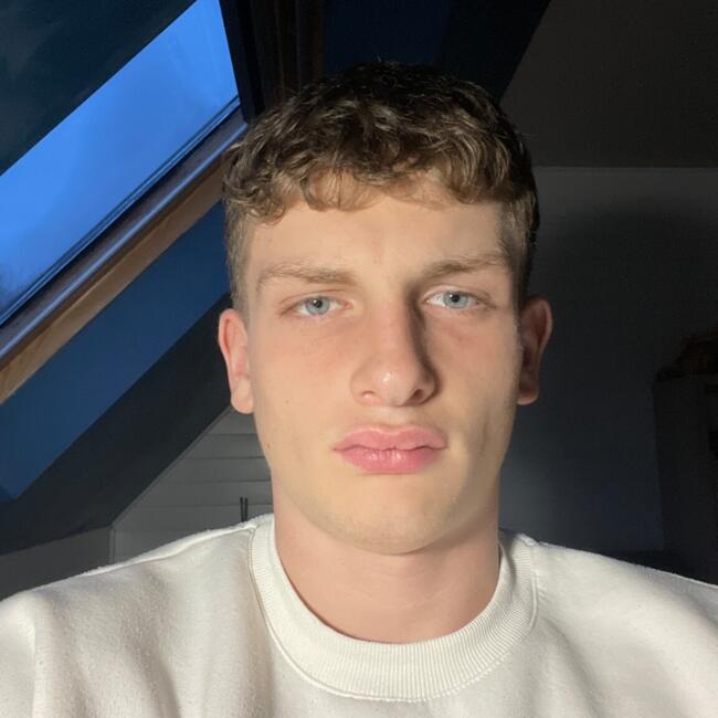 Babysitter in Le Relecq-Kerhuon: Enzo