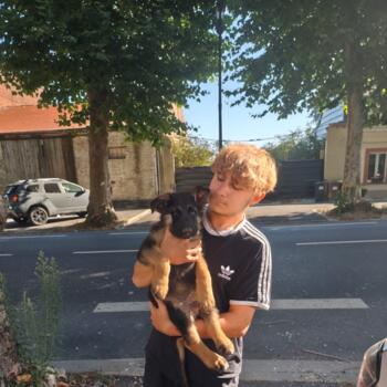 Baby-sitter à Hergnies: Corentin