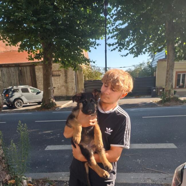 Baby-sitter à Hergnies: Corentin