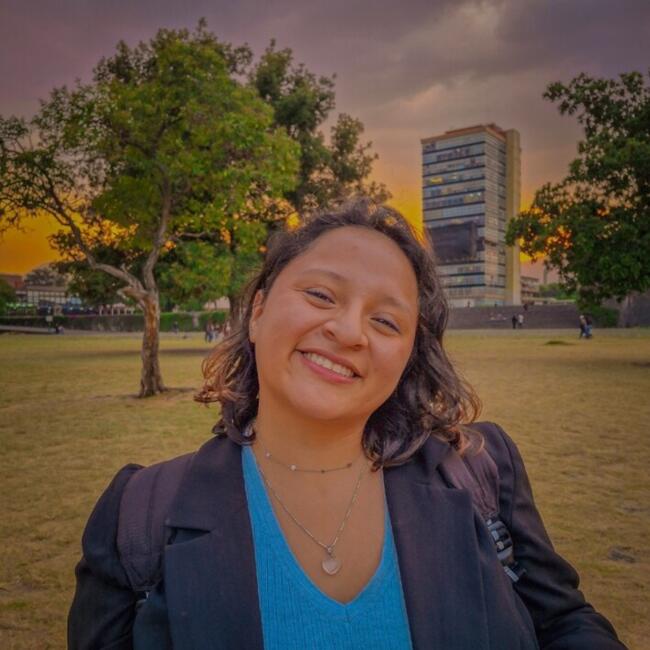 Niñera en Ciudad de México: María Fernanda