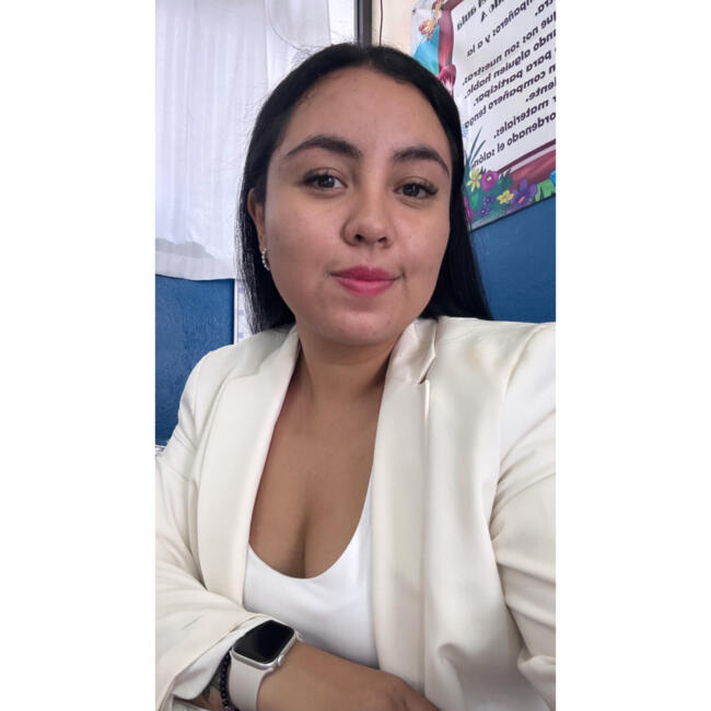 Babysitter in Colonia Álvaro Obregón: Brenda