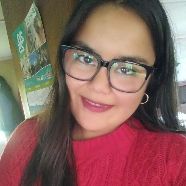 Babysitter in Temuco: Laura