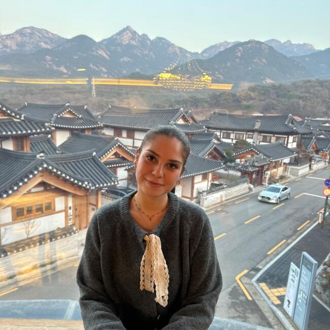 서울특별시에 있는 베이비시터: Asia