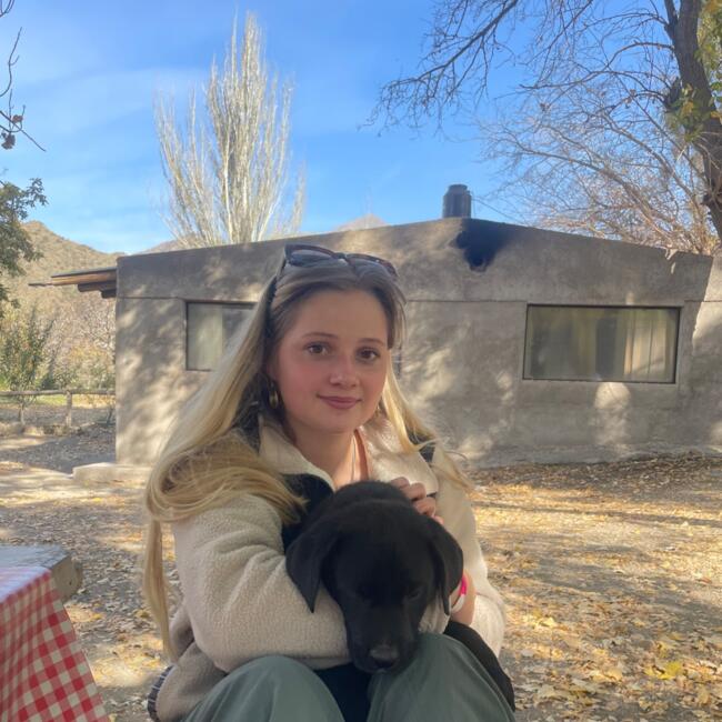 Babysitter in Edinburgh: Alice