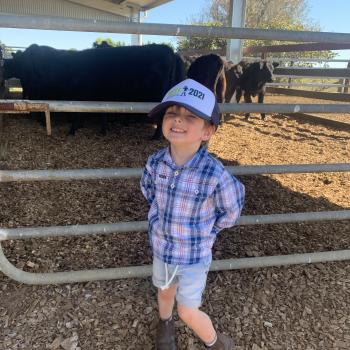 Babysitting job in Warrnambool: babysitting job Mark