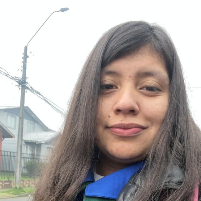 Babysitter in Valdivia: Karla