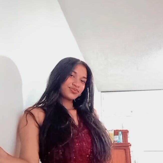 Baby-sitter in Sangolquí: Ale