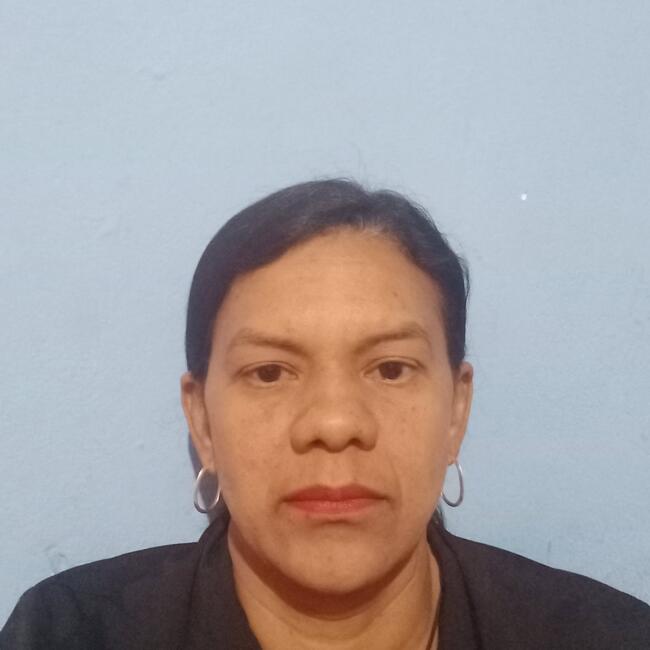 Babysitter in Santa Maria (Distrito Federal): Vágna de Lourdes