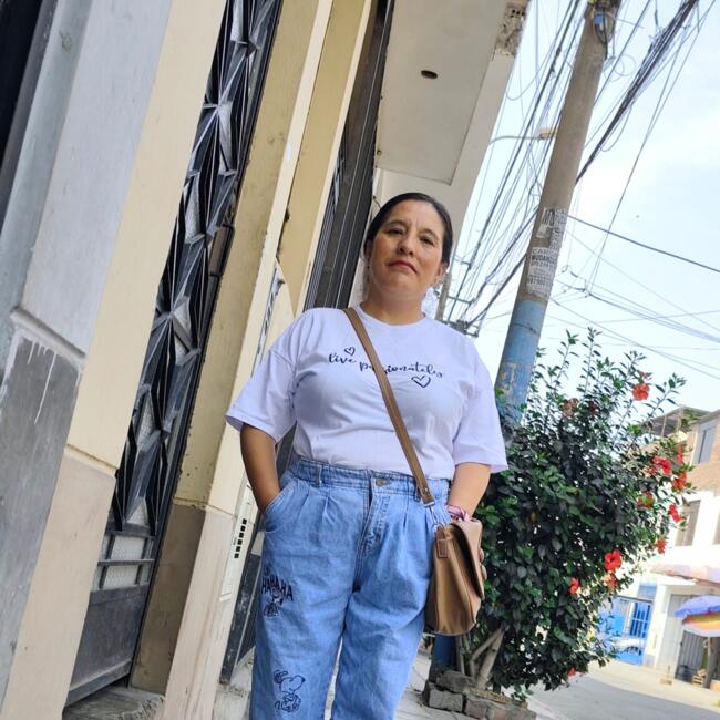 Babysitter in Comas (Departamento de Lima): JENNY LUZ