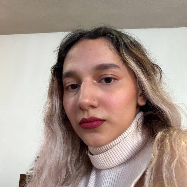 Niñera en Ciudad de México: Anel Valeria Juarez Moreno