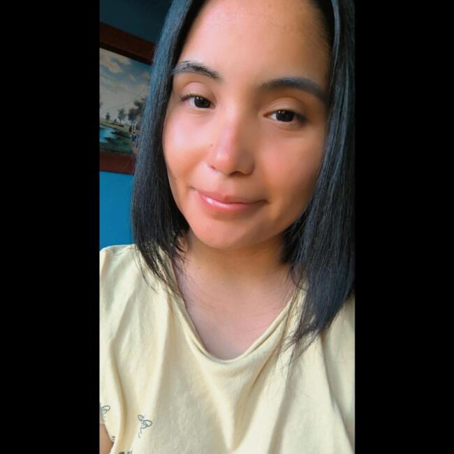 Babysitting job in Peñaflor: Francisca