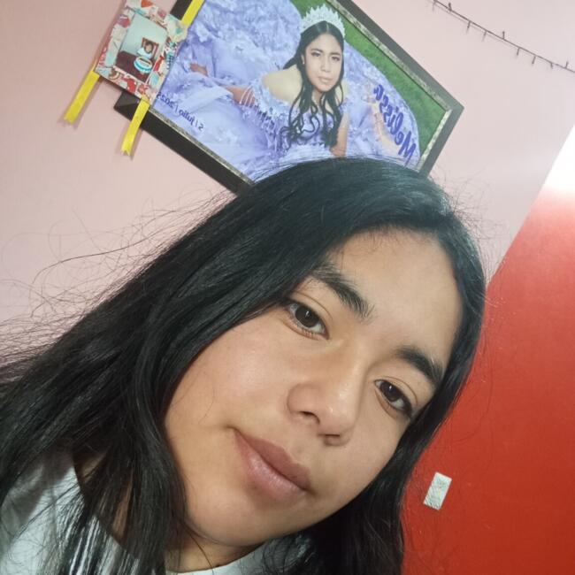 Babysitter in Pachuca: Pérez trejo