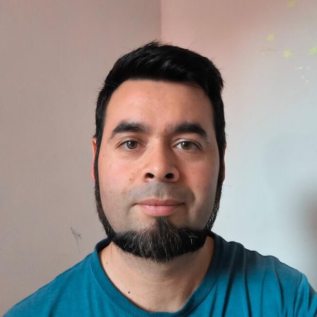 Babysitting job in Curicó: Carlos Esteban