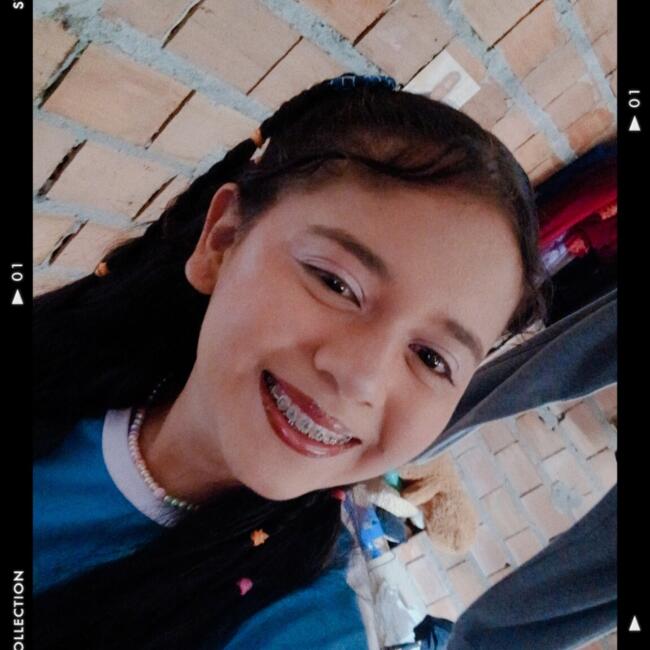 Babysitter in Ananindeua: Beatriz