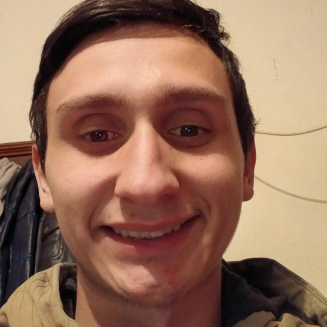 Babysitting job in Felgueiras: Rúben