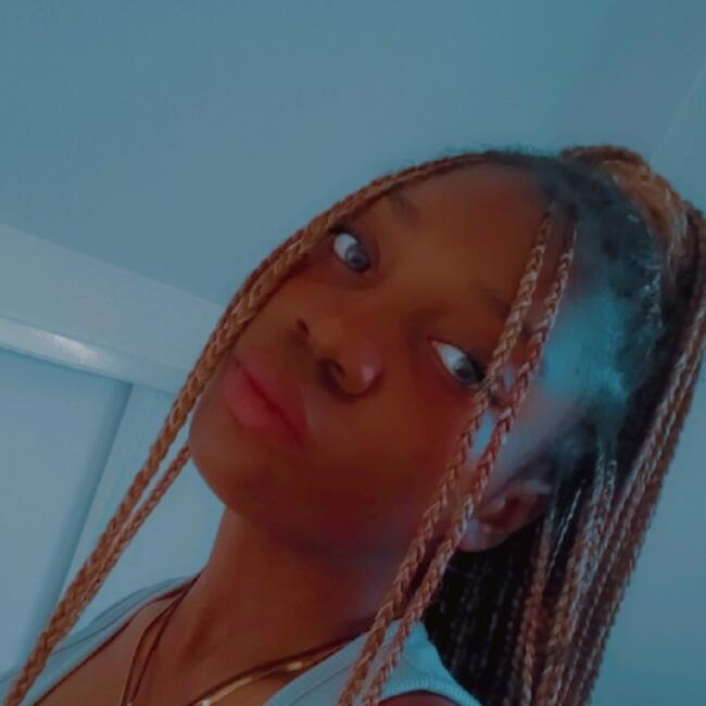 Babysitter in Tours: Rhome Nick