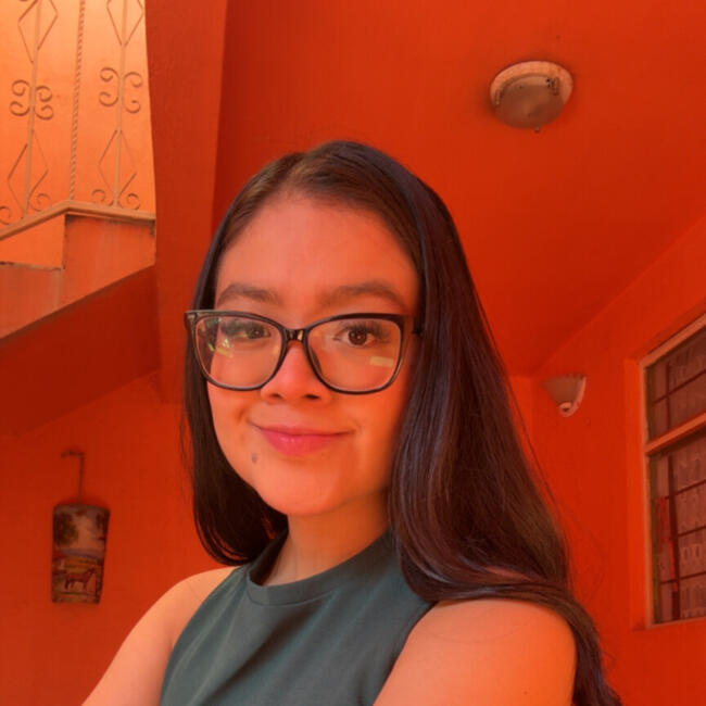 Babysitting job in Ciudad López Mateos: Karla Bibiana