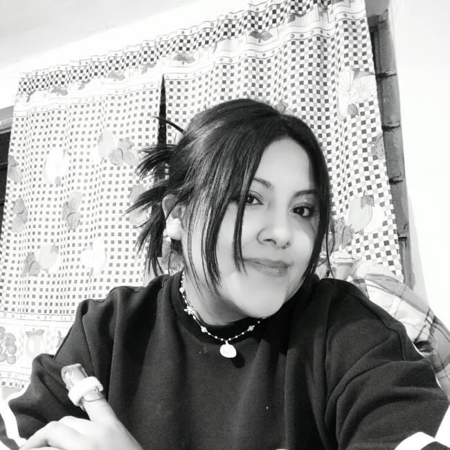 Babysitter in Cuauhtémoc: Ary