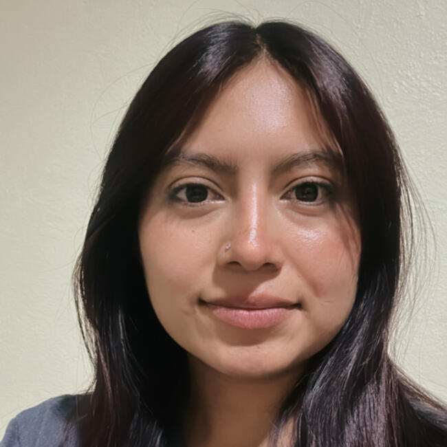 Niñera en Villa Cuauhtémoc Otzolotepec: Abigail