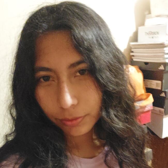 Babysitter in Los Andes: Jeanira